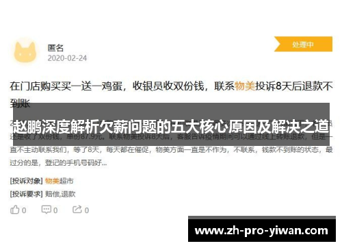 赵鹏深度解析欠薪问题的五大核心原因及解决之道