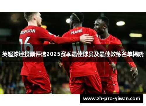 英超球迷投票评选2025赛季最佳球员及最佳教练名单揭晓