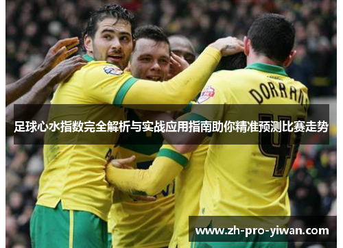 足球心水指数完全解析与实战应用指南助你精准预测比赛走势
